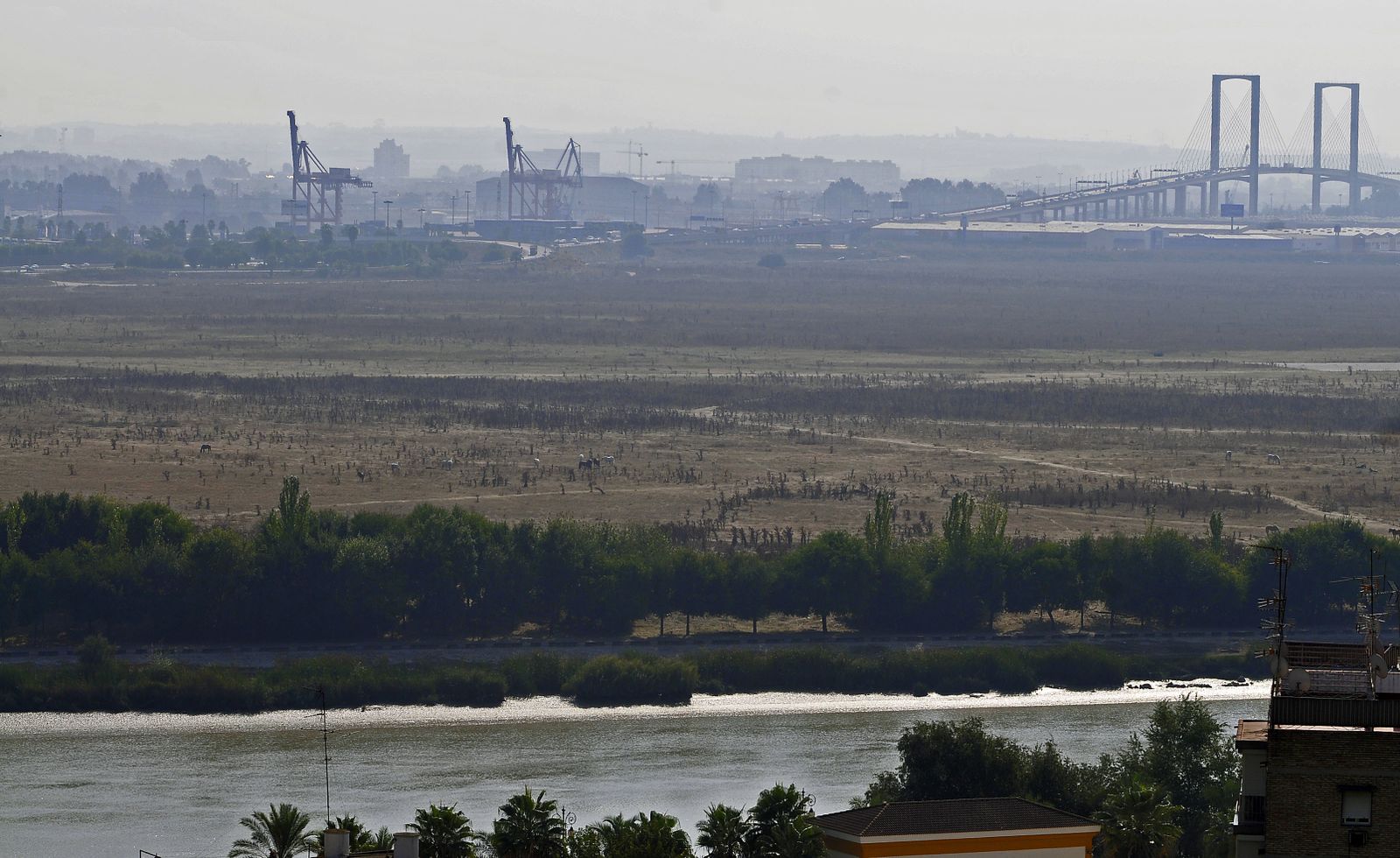 Los suelos de Tablada pegados al río Guadalquivir, vistos desde el Aljarafe.