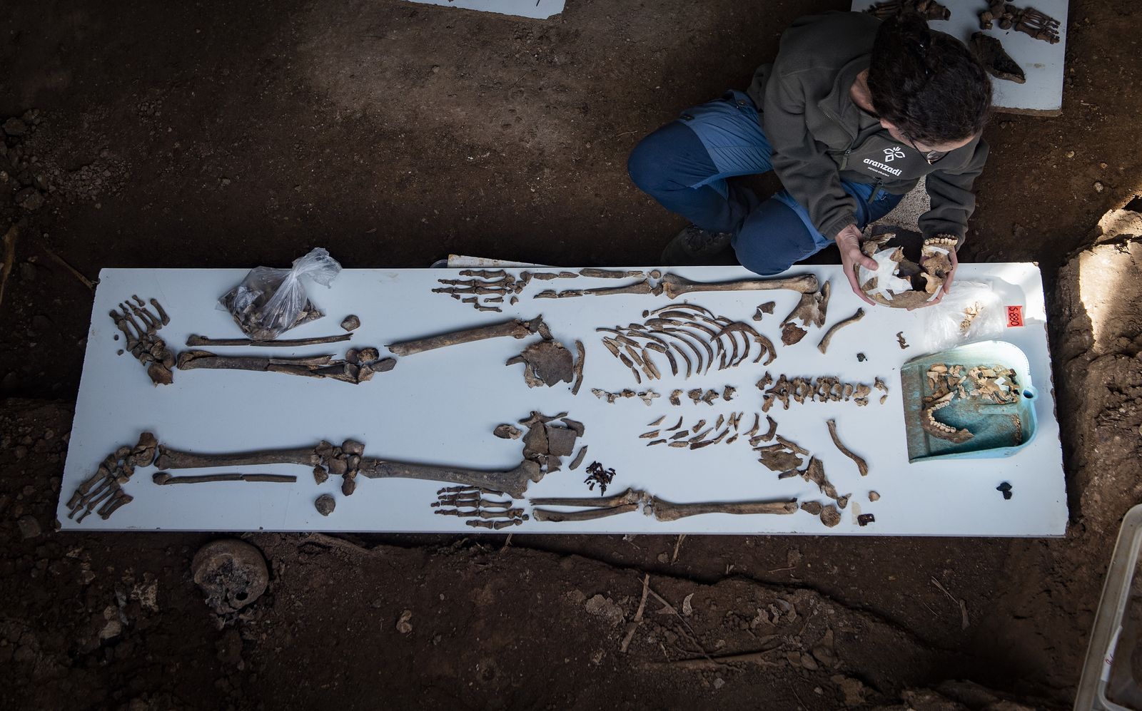 Imágenes de la fosa común de Pico Reja, en el cementerio de San Fernando