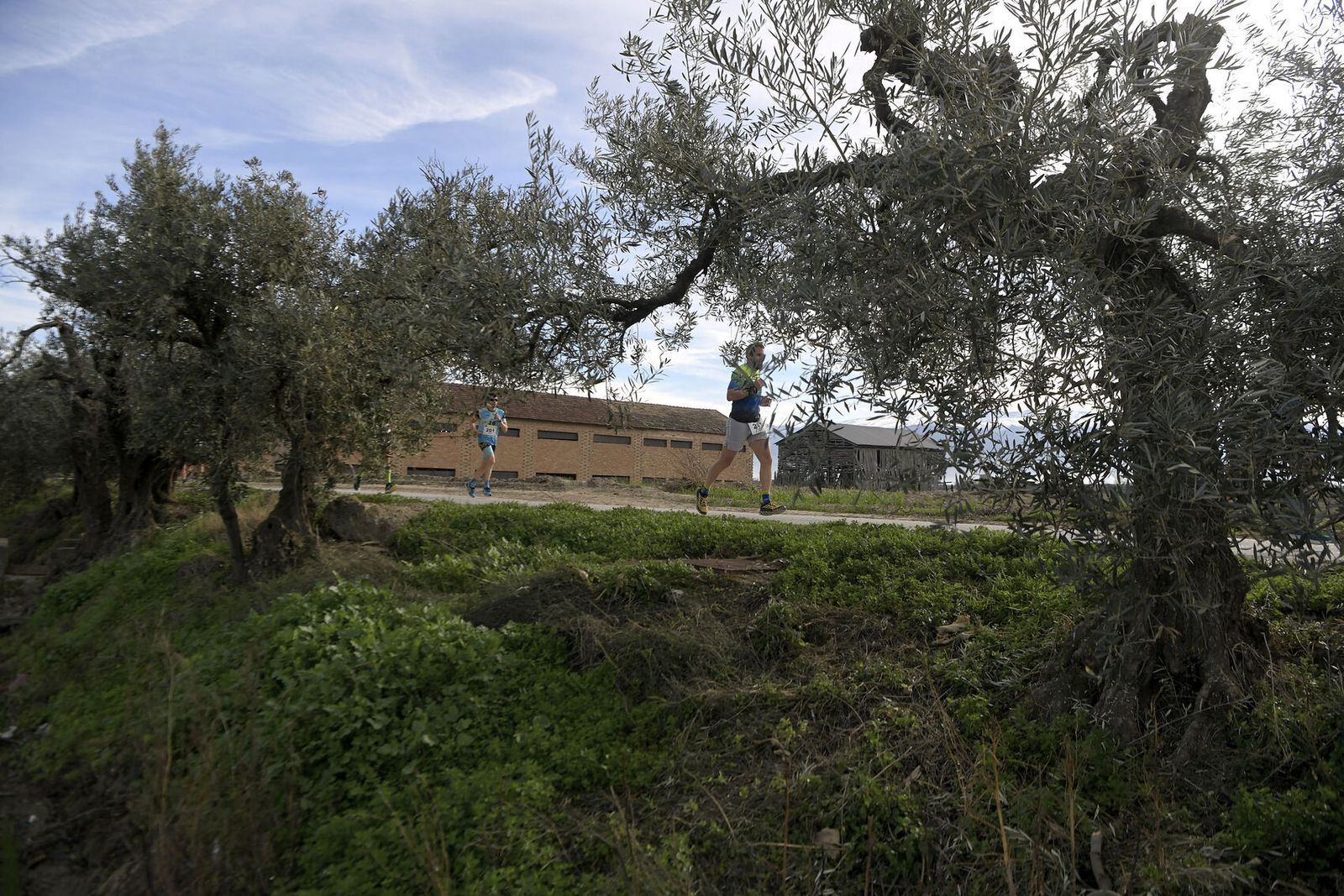 Las imágenes de la Carrera de la Ruta del Secadero de Cúllar Vega