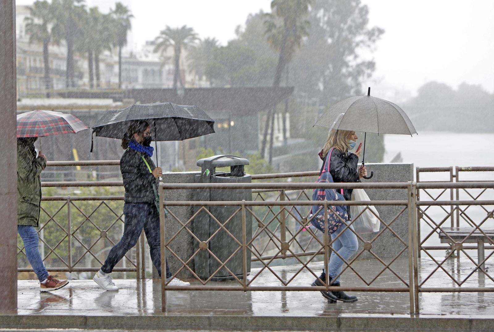 Lluvia en Sevilla
