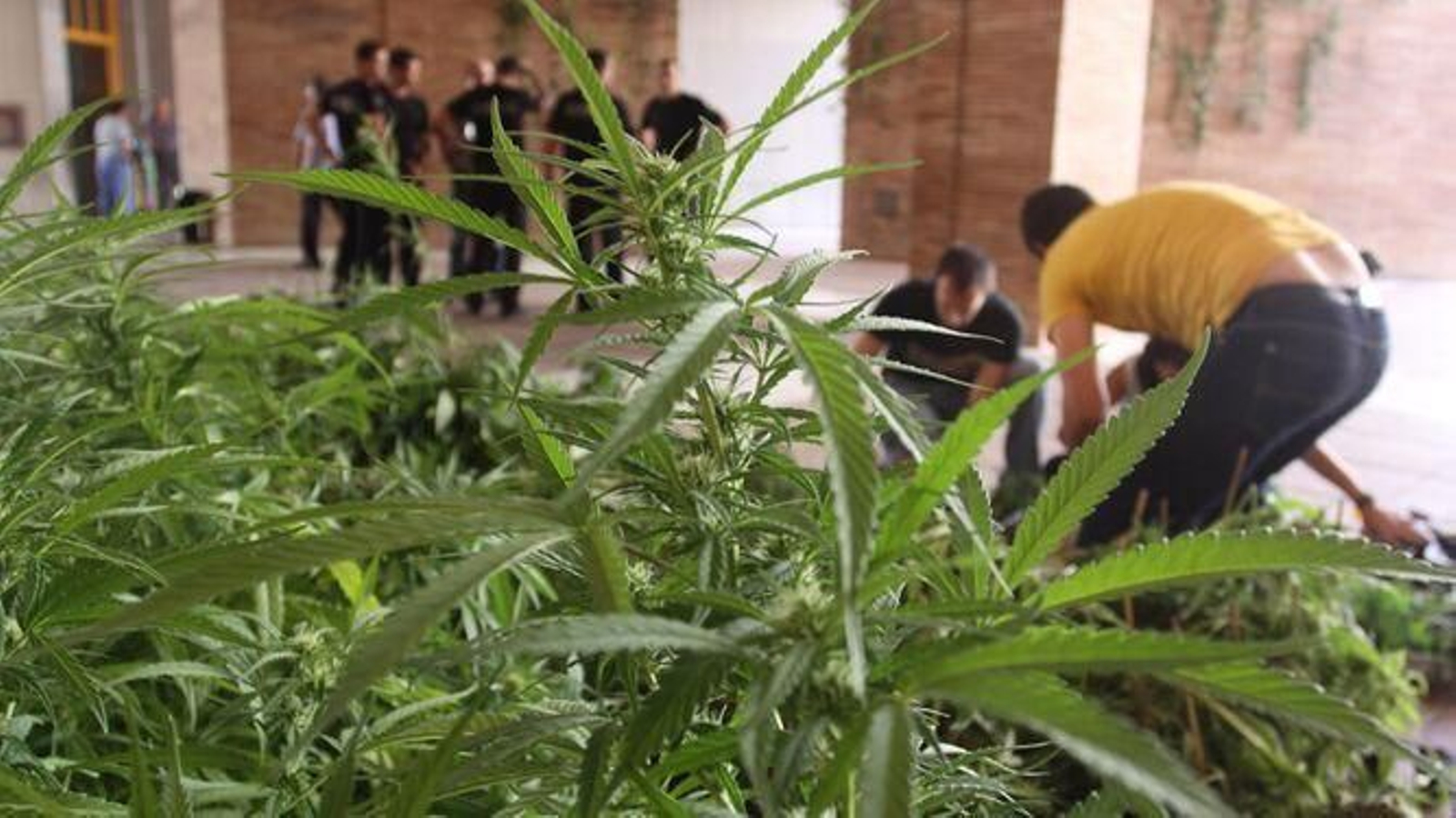 Un vuelco en una venta de marihuana, posible motivo de la muerte de Cayetano Romero