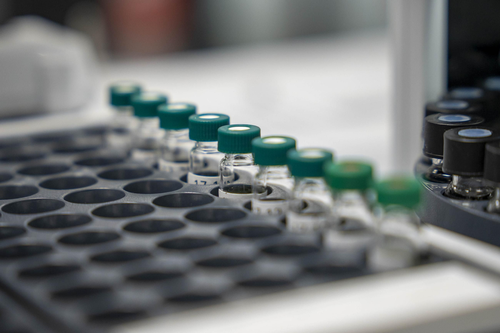 CIT COEX abre sus puertas al futuro: innovación, conocimiento y territorio