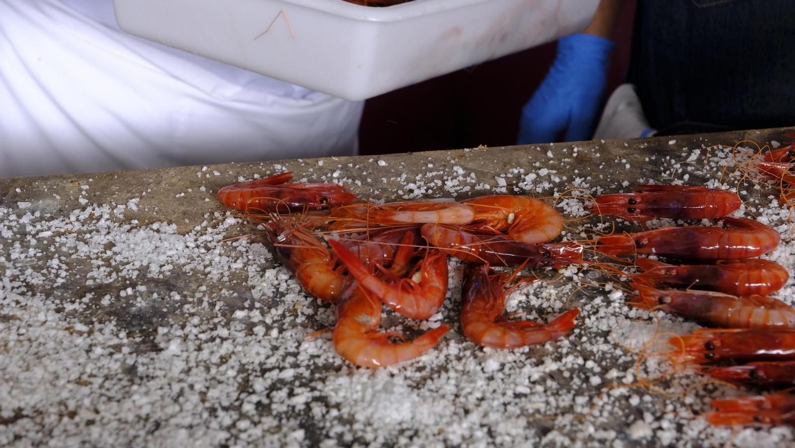 Imágenes de la Feria de la Gamba Roja de Garrucha