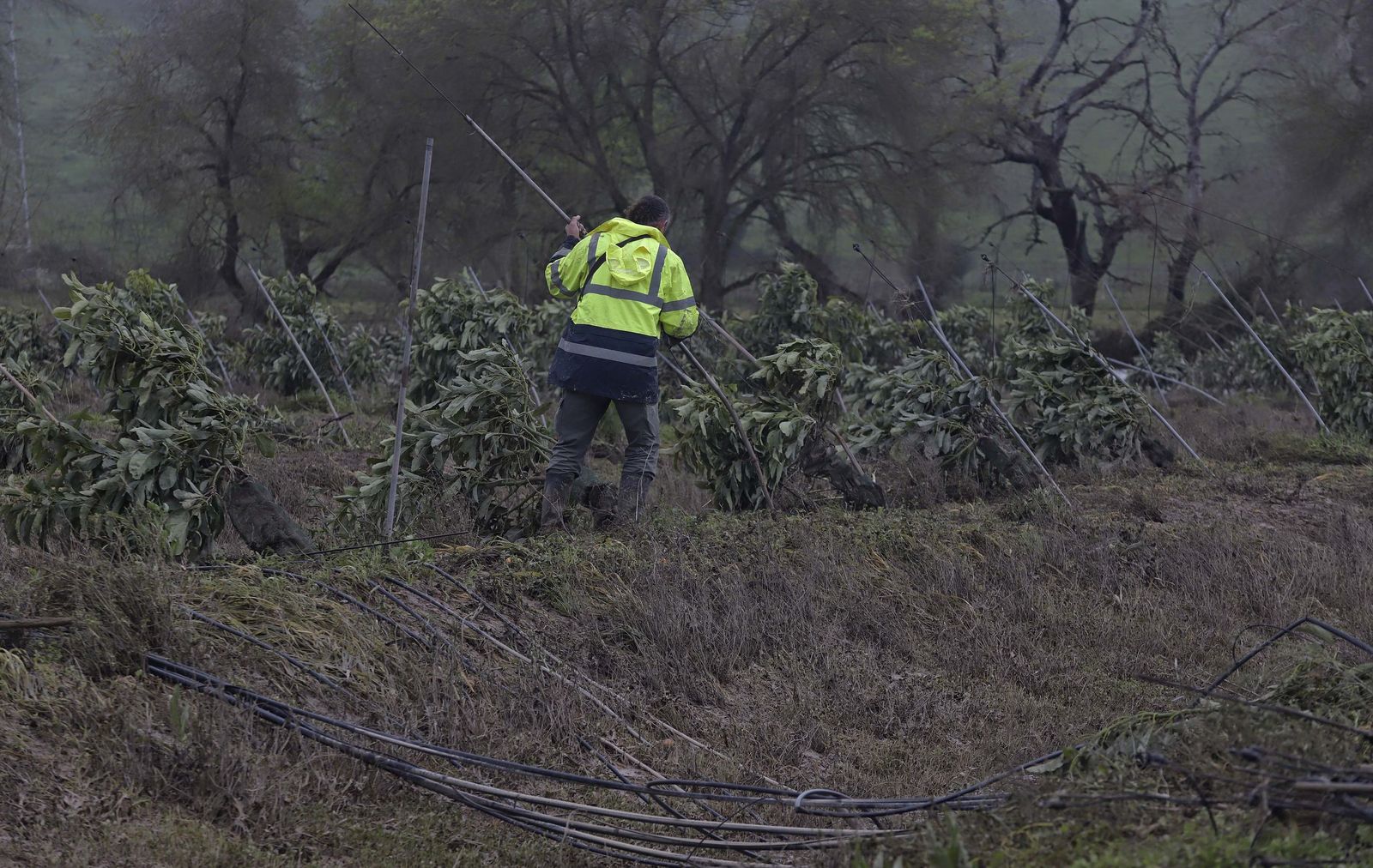 Fotos de los desperfectos provocados por las borrascas en Jimena de la Frontera