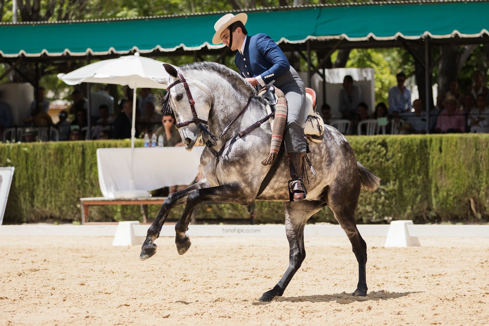 Imágenes de la Final de Doma Vaquera en Sementales