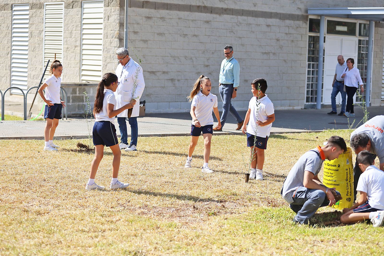 Los alumnos del colegio Virgen del Rocío realizan una plantación de arboles en el Hospital Juan Ramón Jiménez