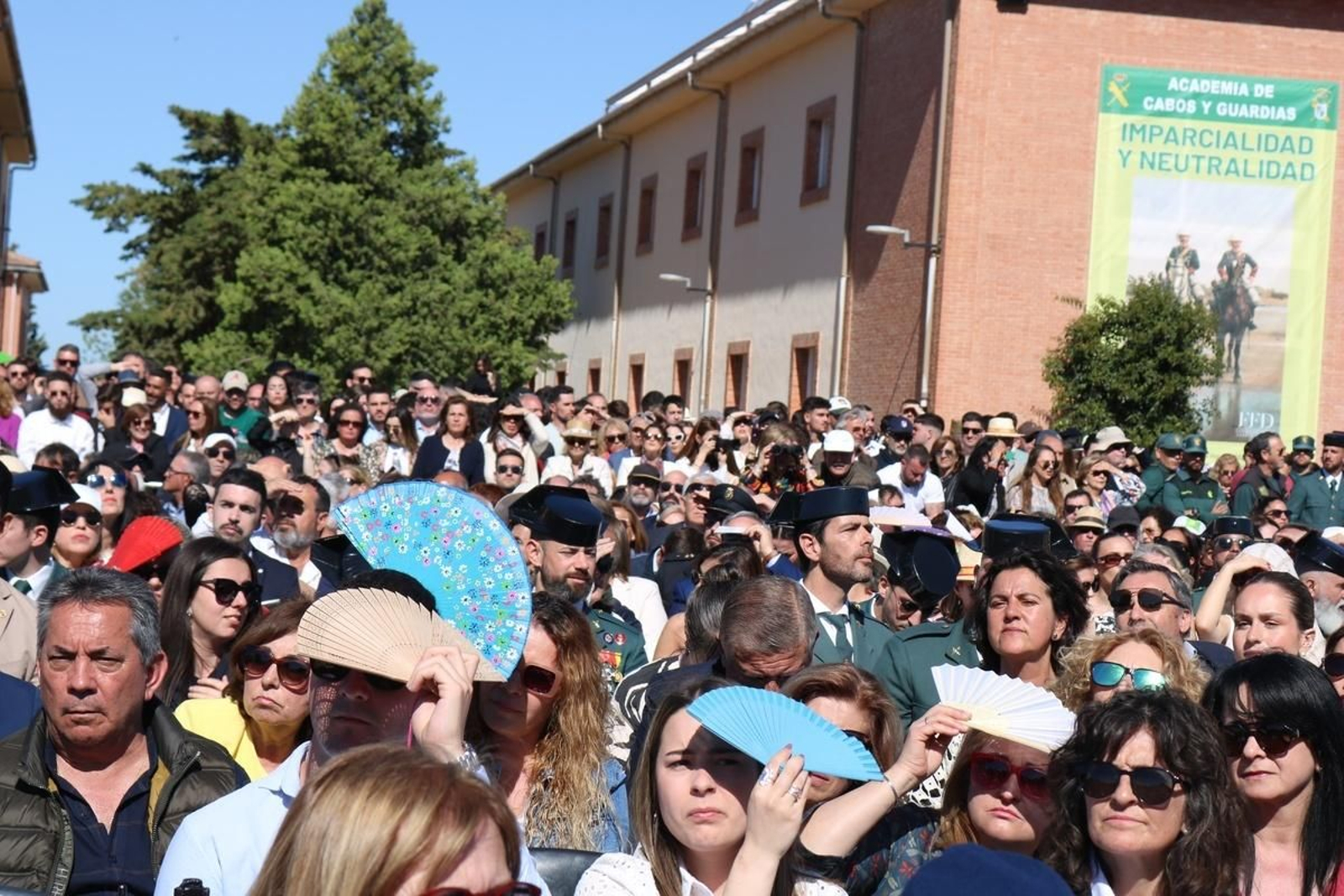 En imágenes: así ha sido la jura de bandera de la Guardia Civil presidida por el rey Felipe VI