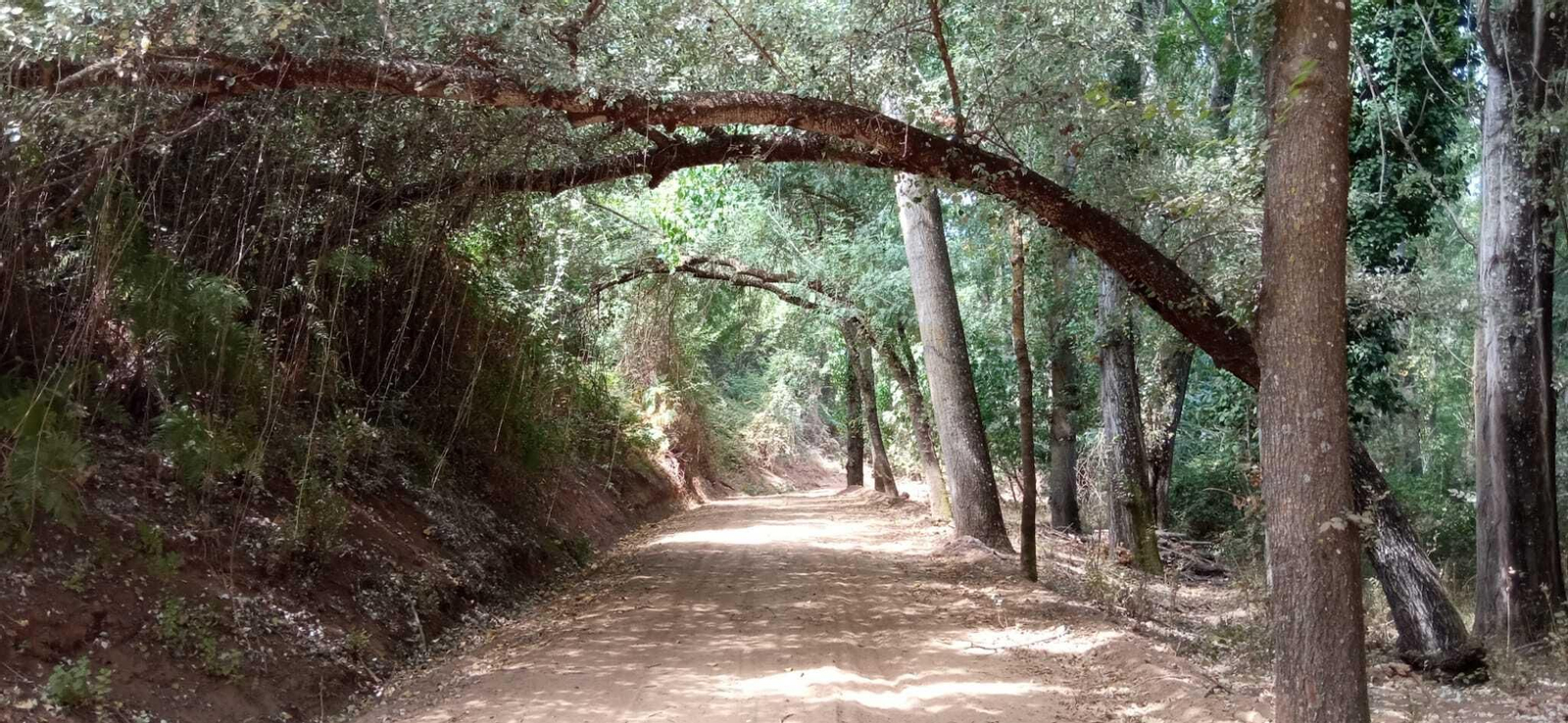 Ruta del Molino del Corcho