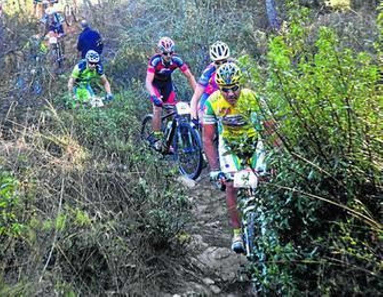 Los aficionados al ciclismo tienen la oportunidad de conocer la provincia a golpe de pedal.
