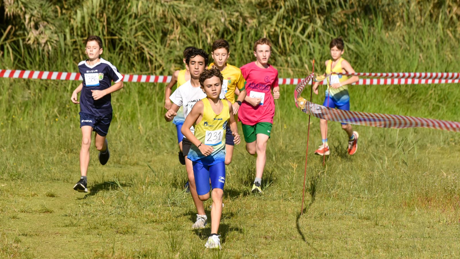 Las fotos del  V cross 'Con el Mar de Fondo' de los Juegos Municipales de atletismo de Algeciras