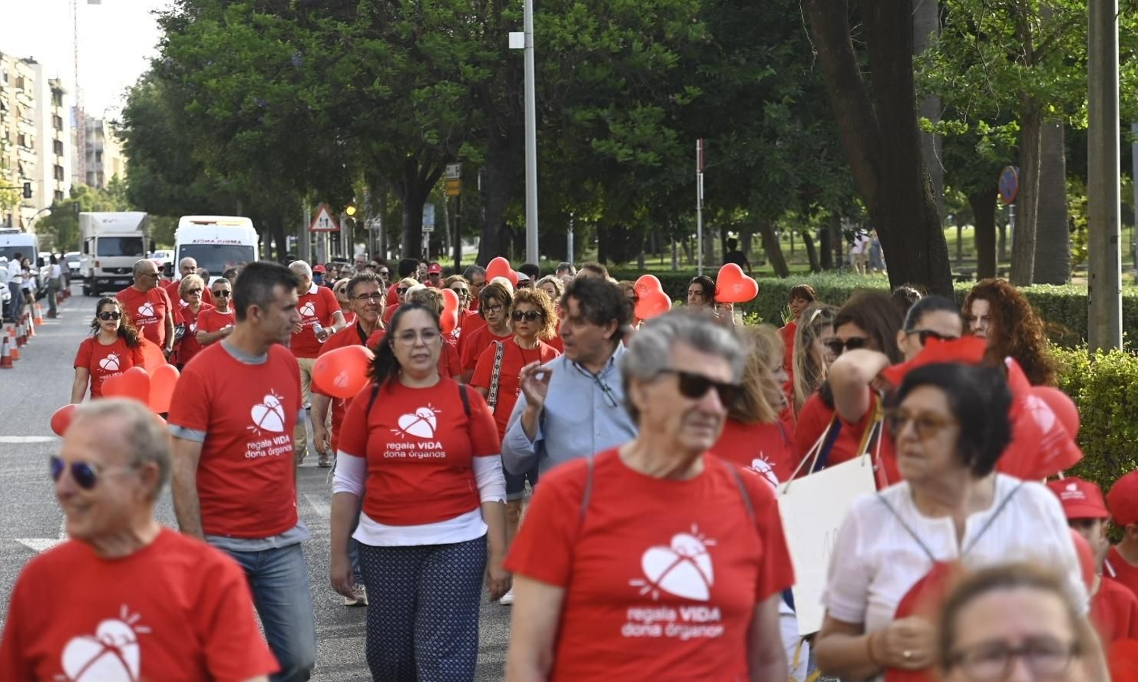 Las mejores fotos de la marcha que cierra la XXII Semana de la Donación en Córdoba