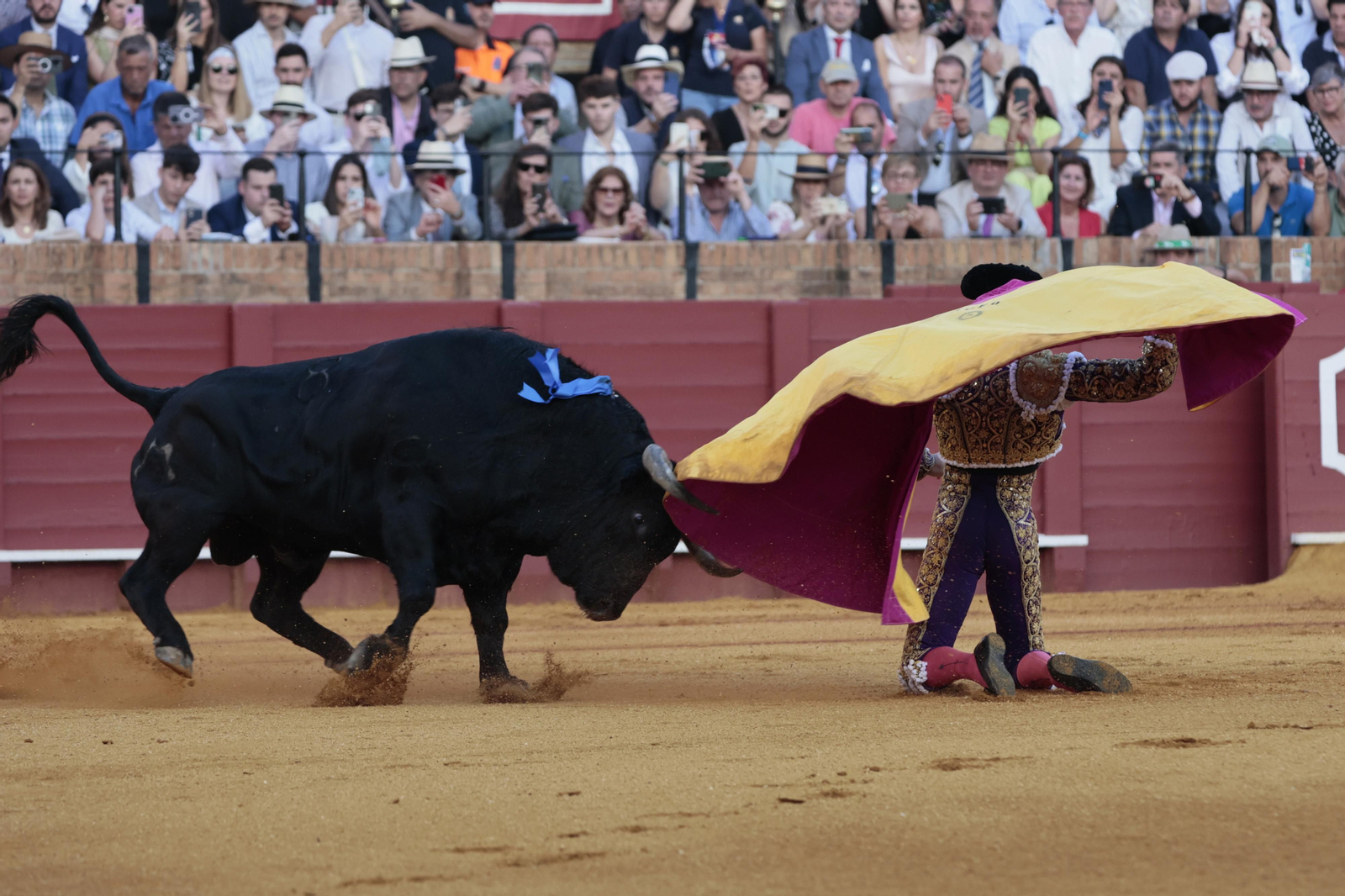las imágenes del festejo