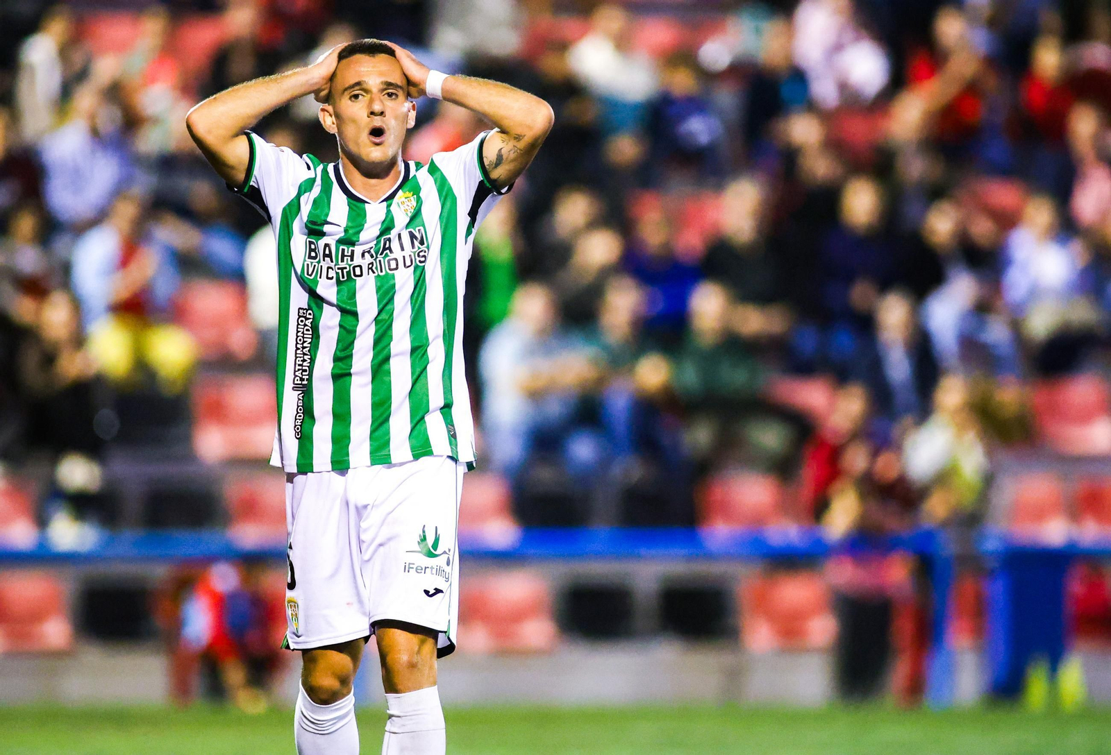 La eliminación del Córdoba CF en Cieza, en imágenes