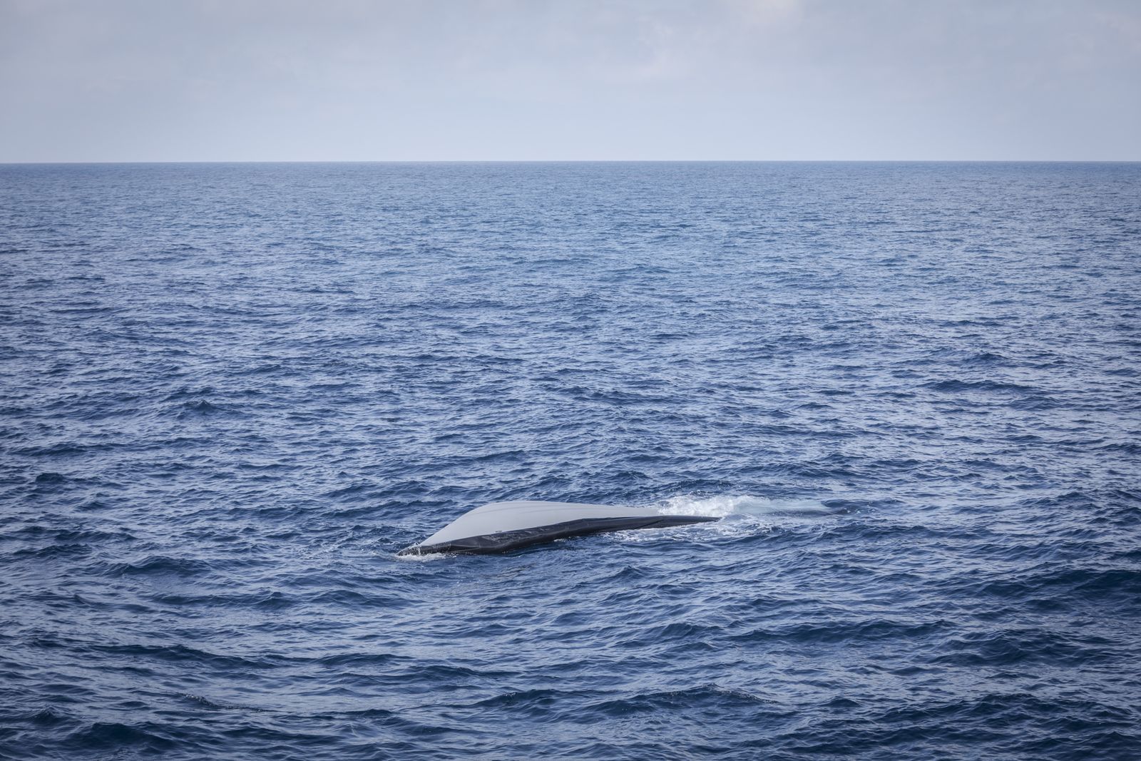 Imágenes de la prueba de mar del 'Audaz'