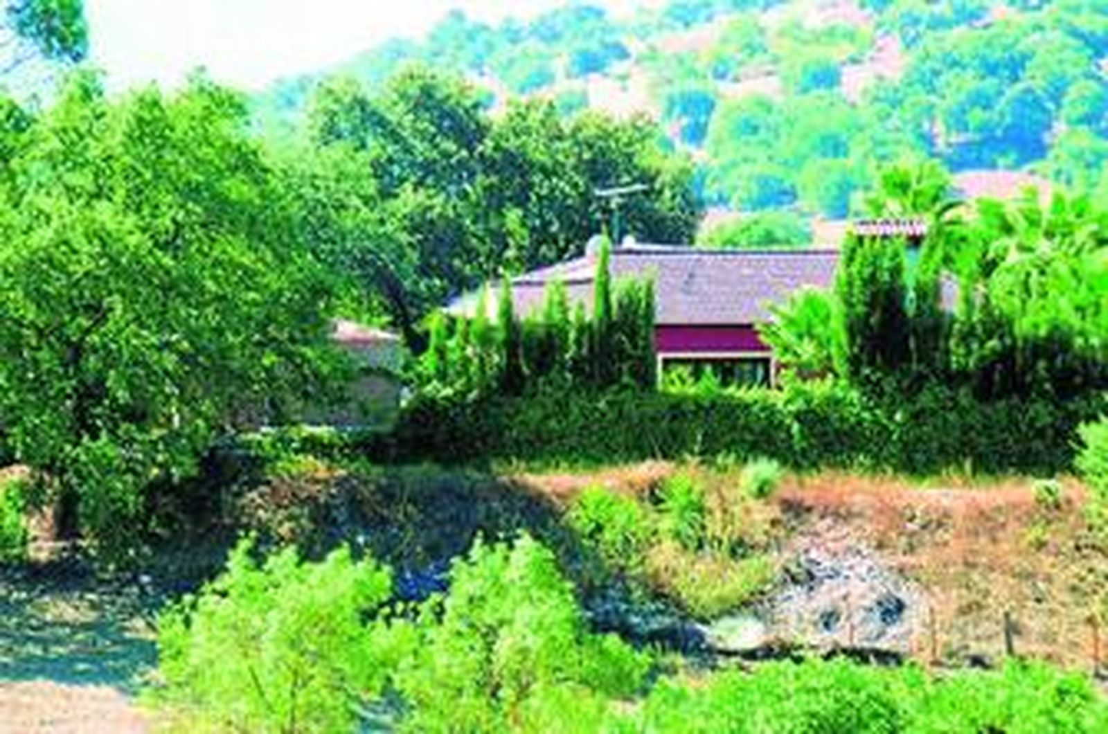 Imagen de  Ecologistas, con la vivienda en el Parque Natural Sierra de Grazalema