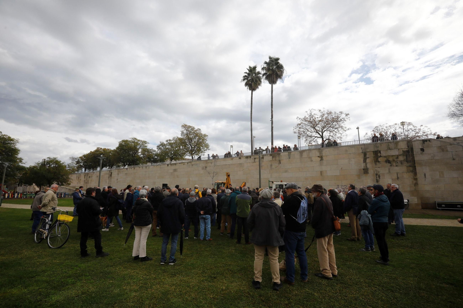 El árbol que siempre recordará a Pepe Larios en Córdoba, en imágenes