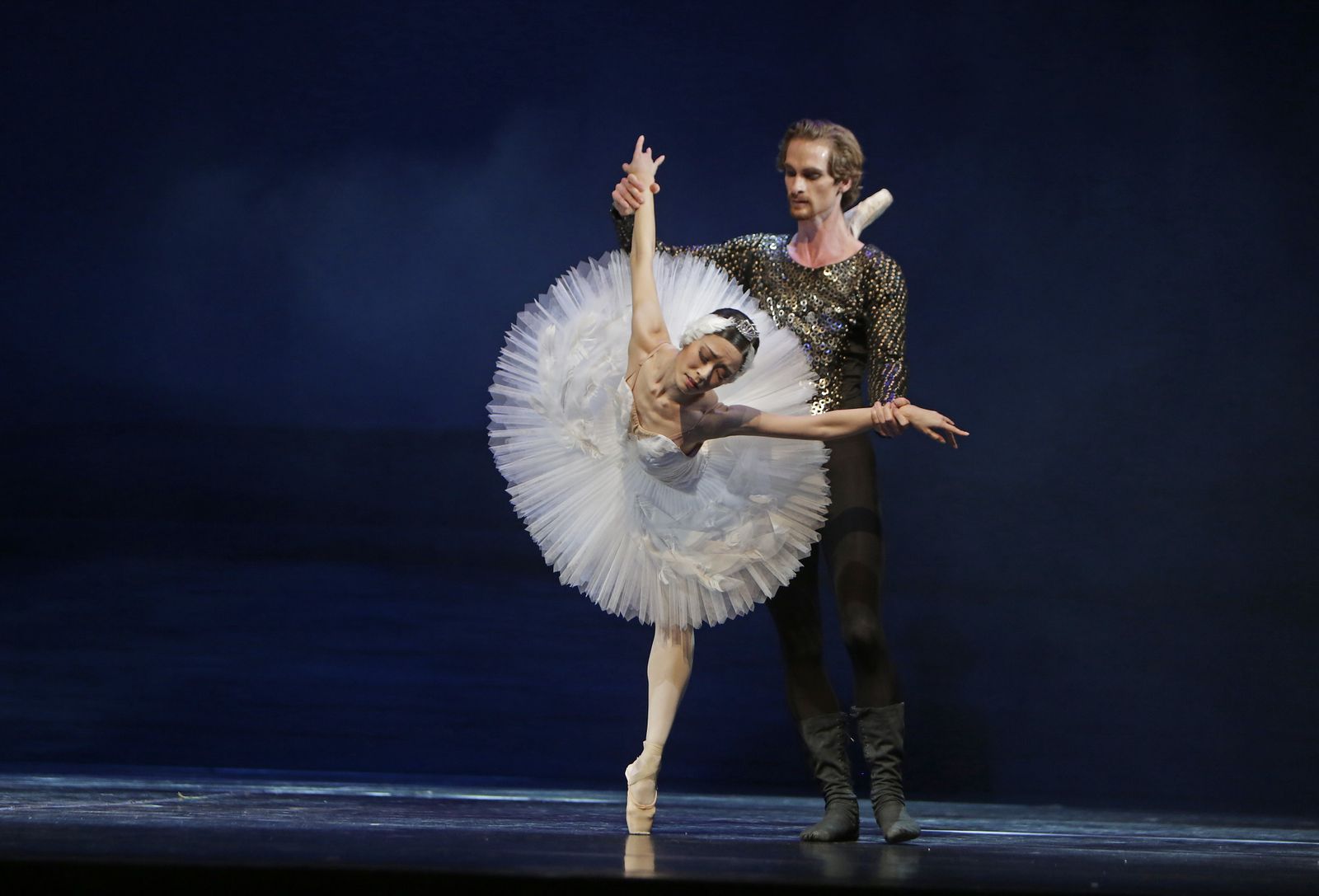 EL LAGO DE LOS CISNES