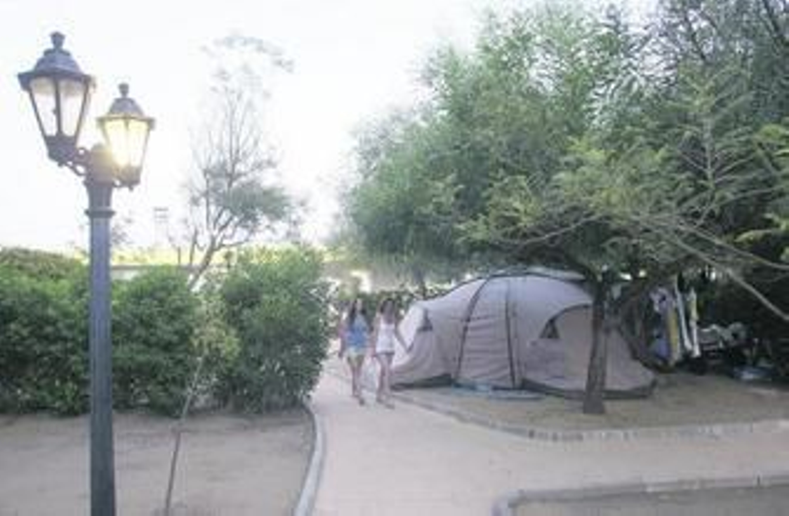 Imagen de la zona de acampada de Sur Europa.