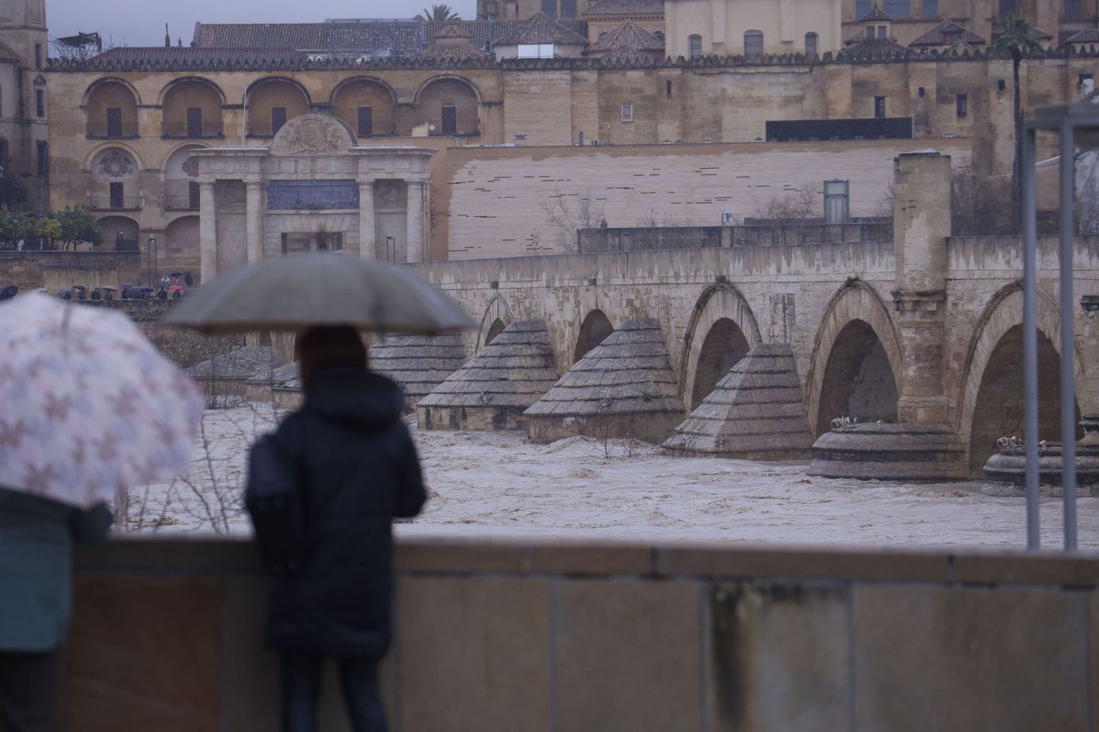 Así se muestra el río Guadalquivir a su paso por Córdoba a la espera de otra crecida