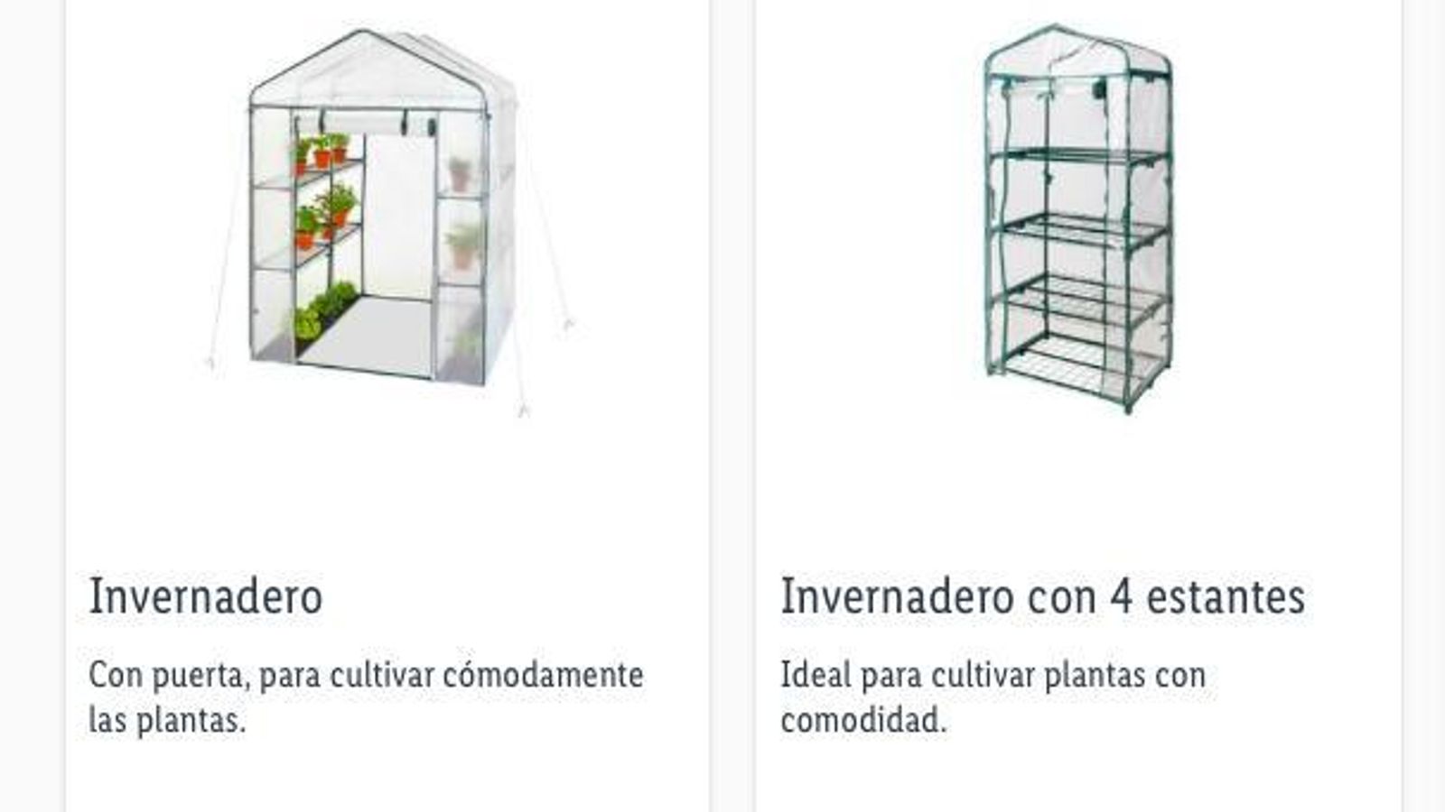 Invernaderos más grandes de Lidl.