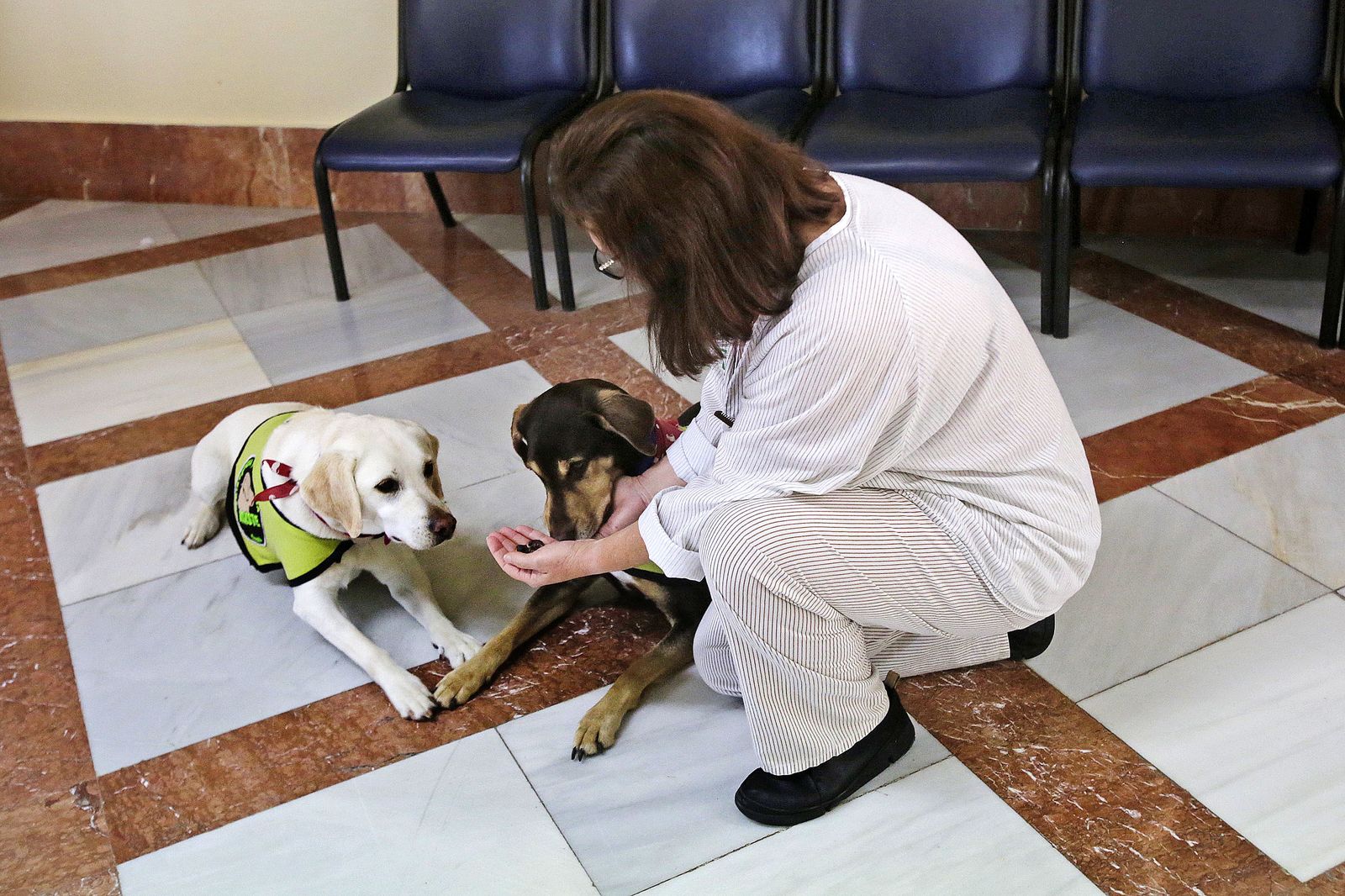 Unidad psiquiátrica del Clinico de Puerto Real