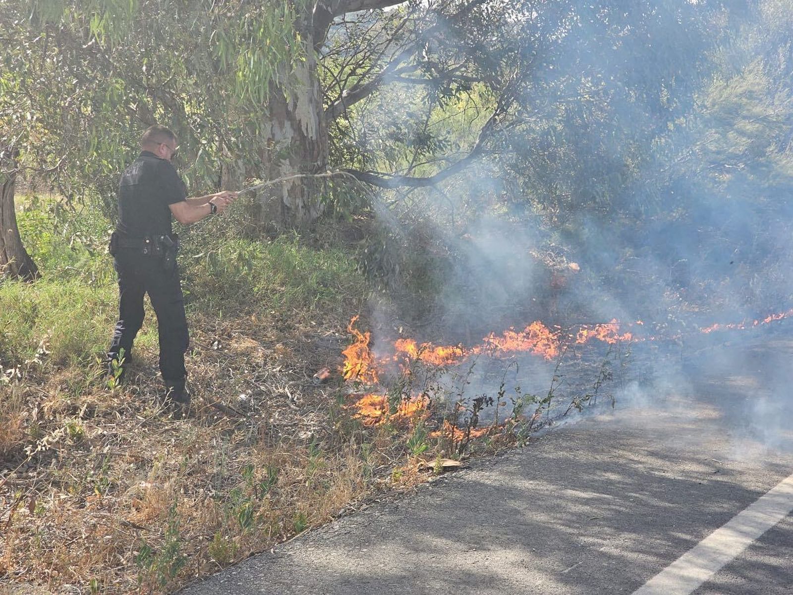 Incendio de pastos cerca de la finca Cantora.