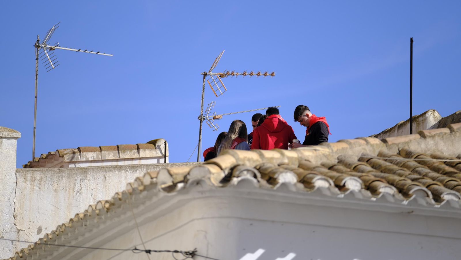 Procesión de San Sebastián y tirada de roscos en Lubrín, en imágenes