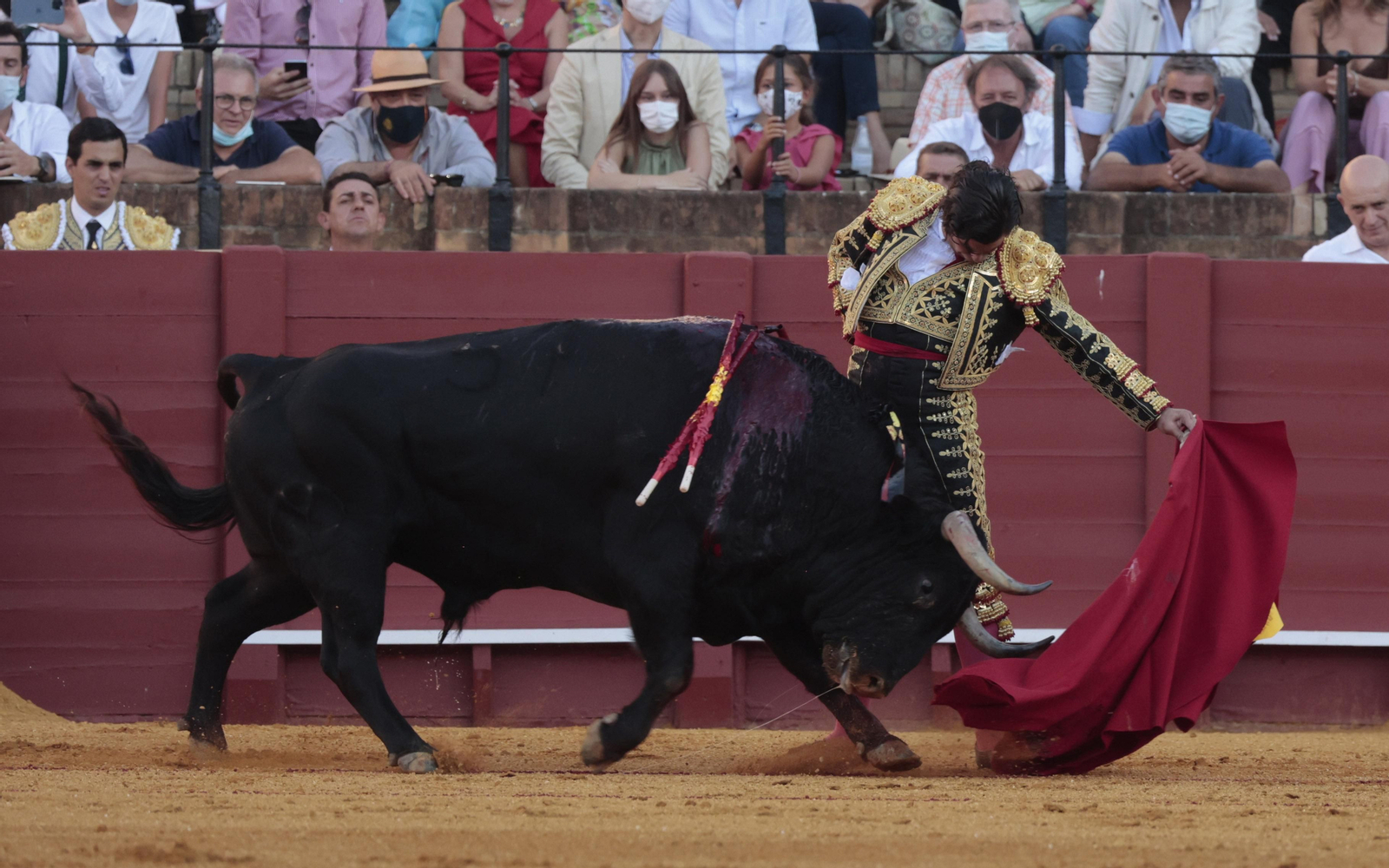 Las imágenes del primer festejo de San Miguel