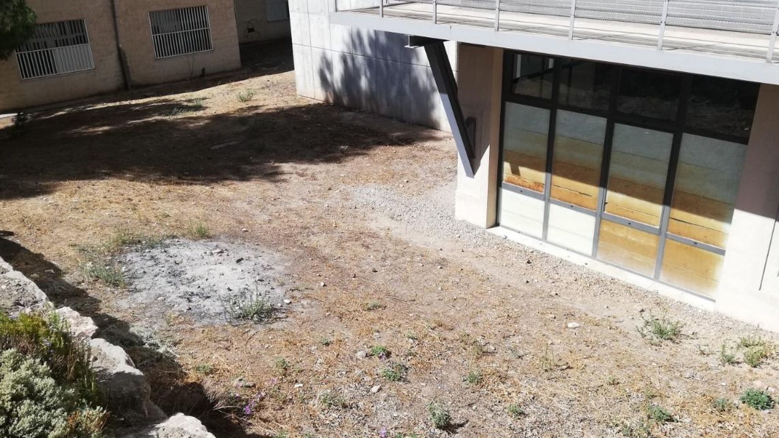 Espacio destinado a acoger el huerto