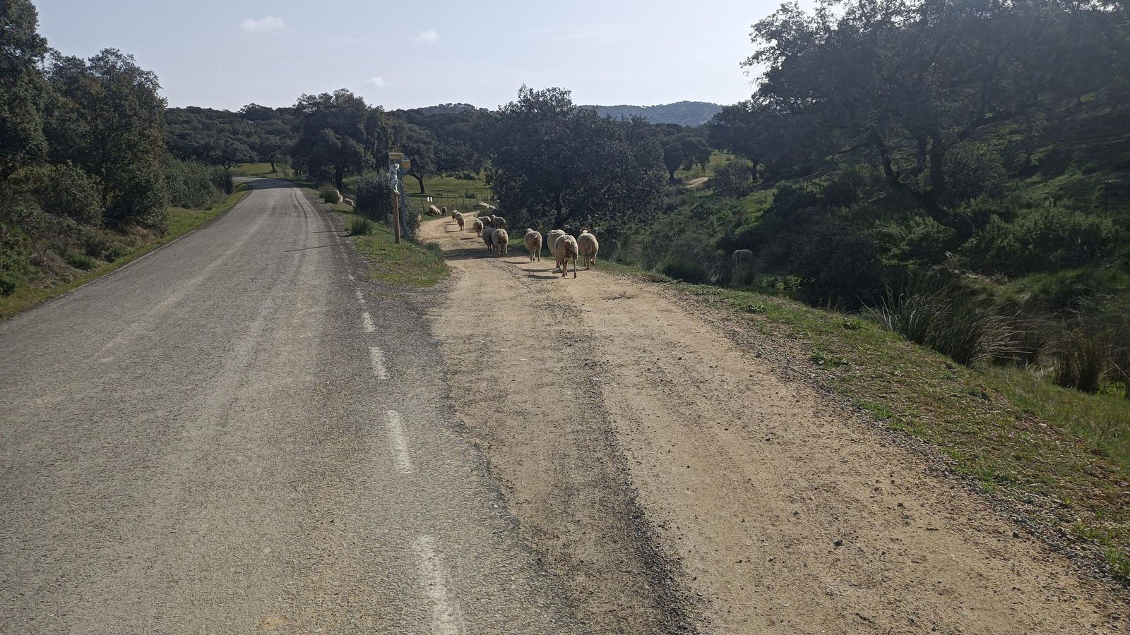 En este punto abandonamos la carretera.