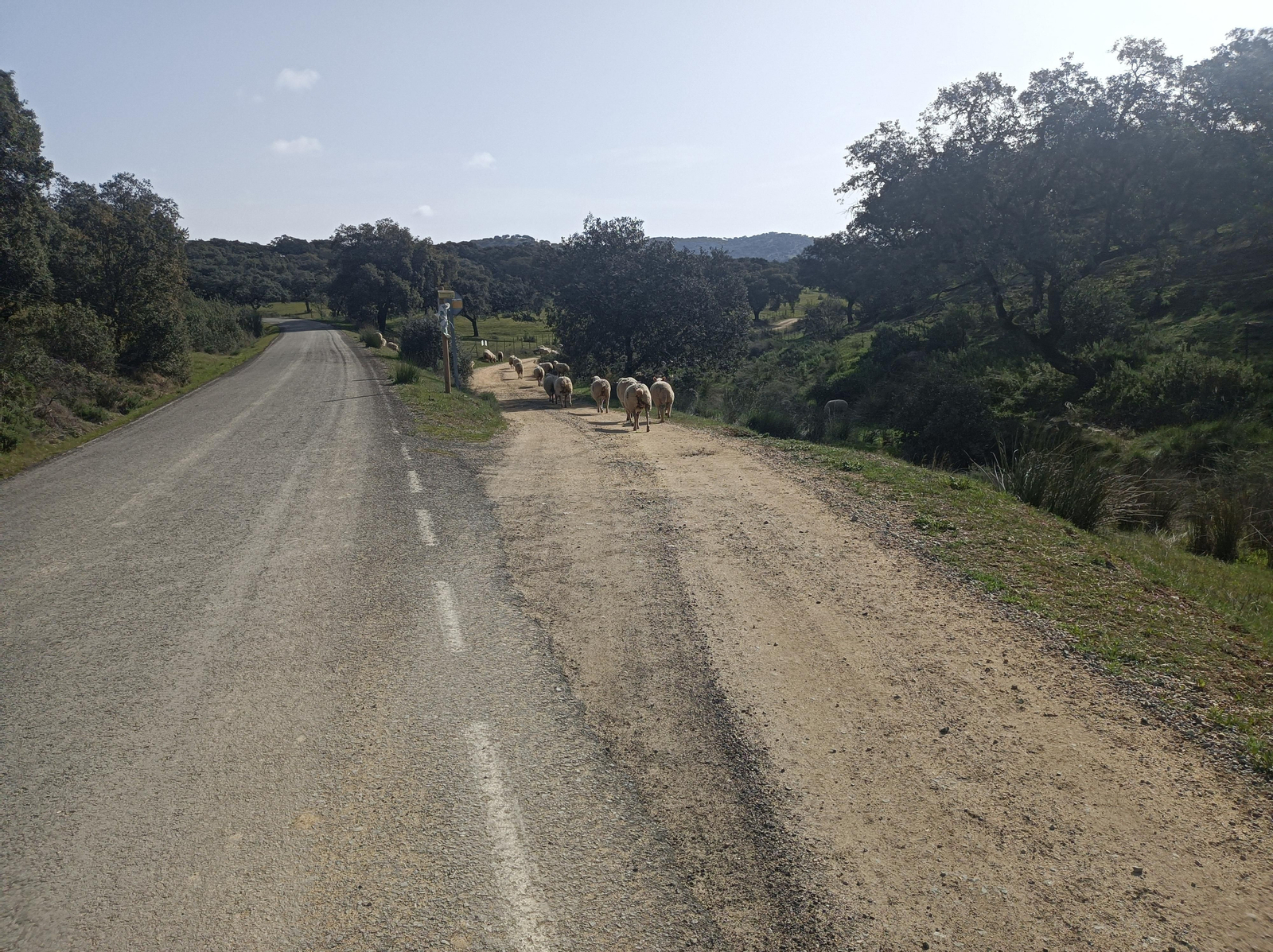 Fotos de la georruta de La Lobera