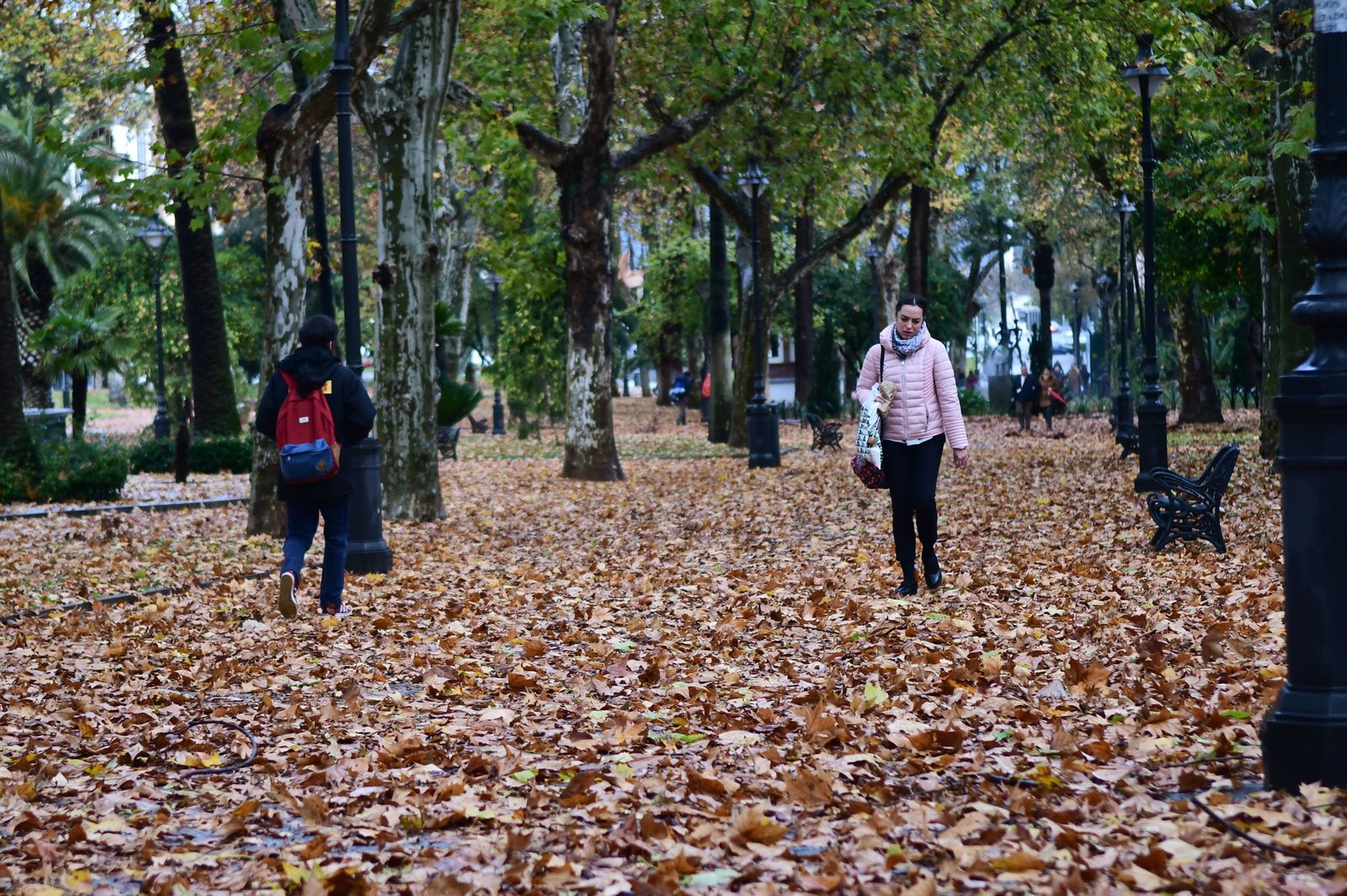 El rastro del otoño en Córdoba