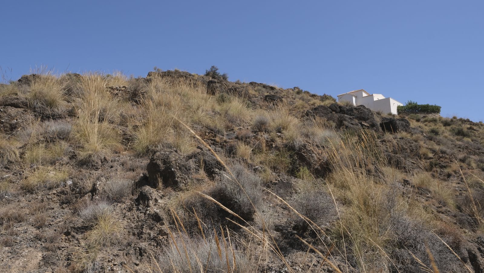 Imágenes de la Romería de la Virgen de la Cabeza de Antas