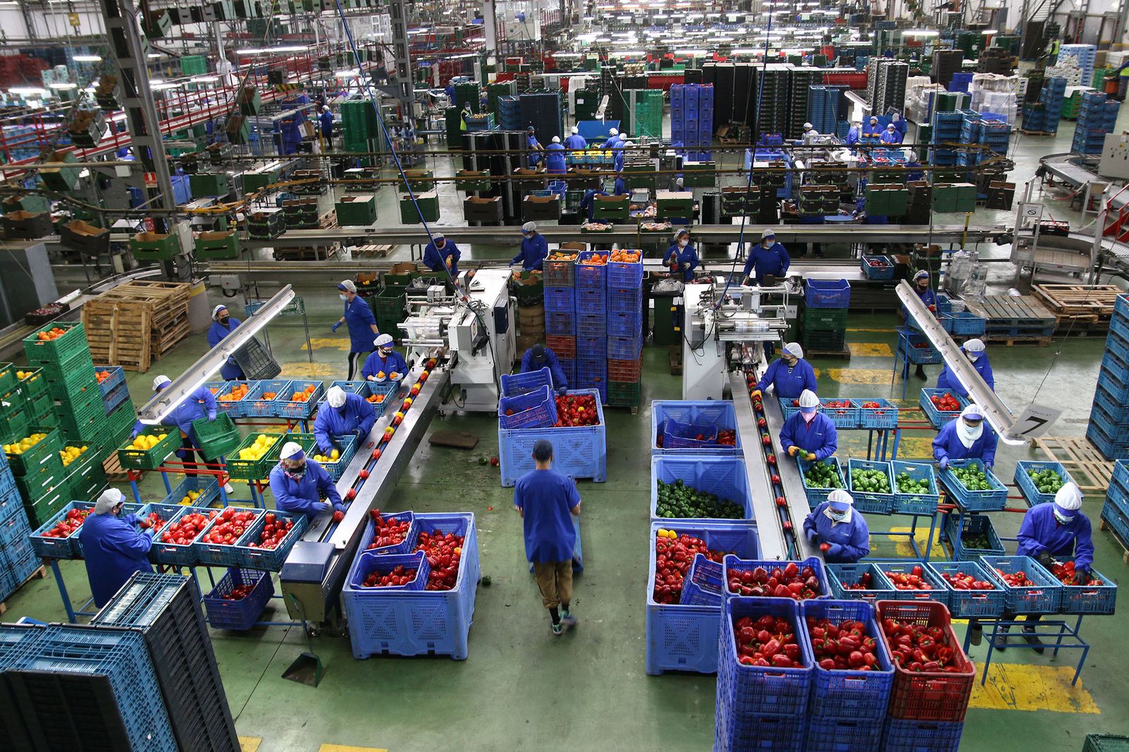 Fotogalería Juanma Moreno visita la cooperativa Murgiverde