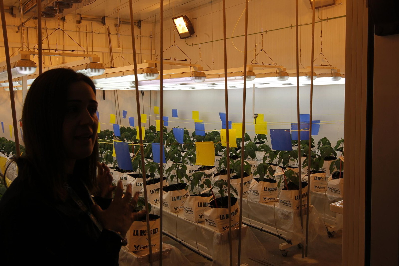 Fotogalería presentación resultados Bayer