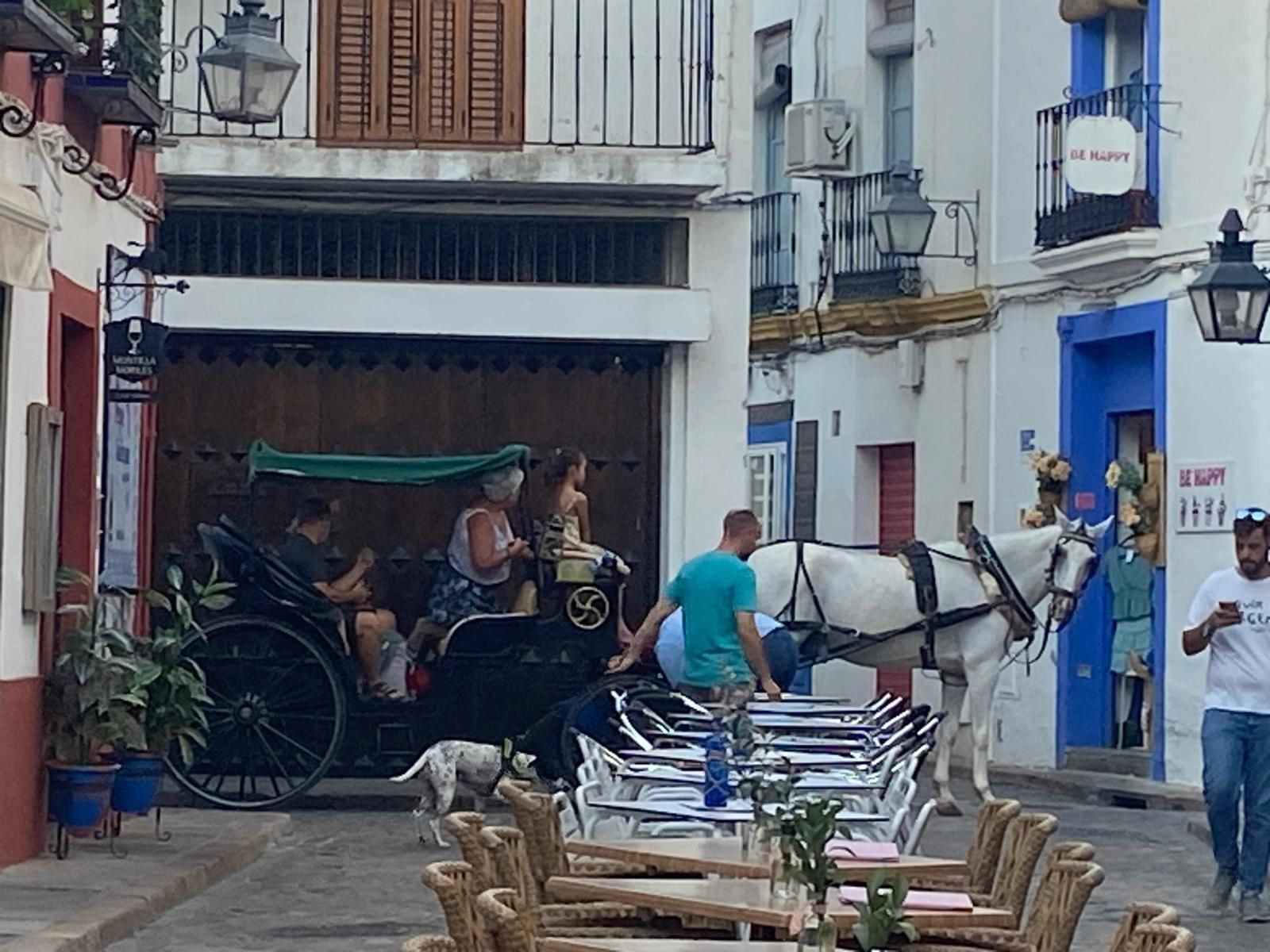 Un coche de caballos en la Judería. Un coche de caballos en la Judería.
