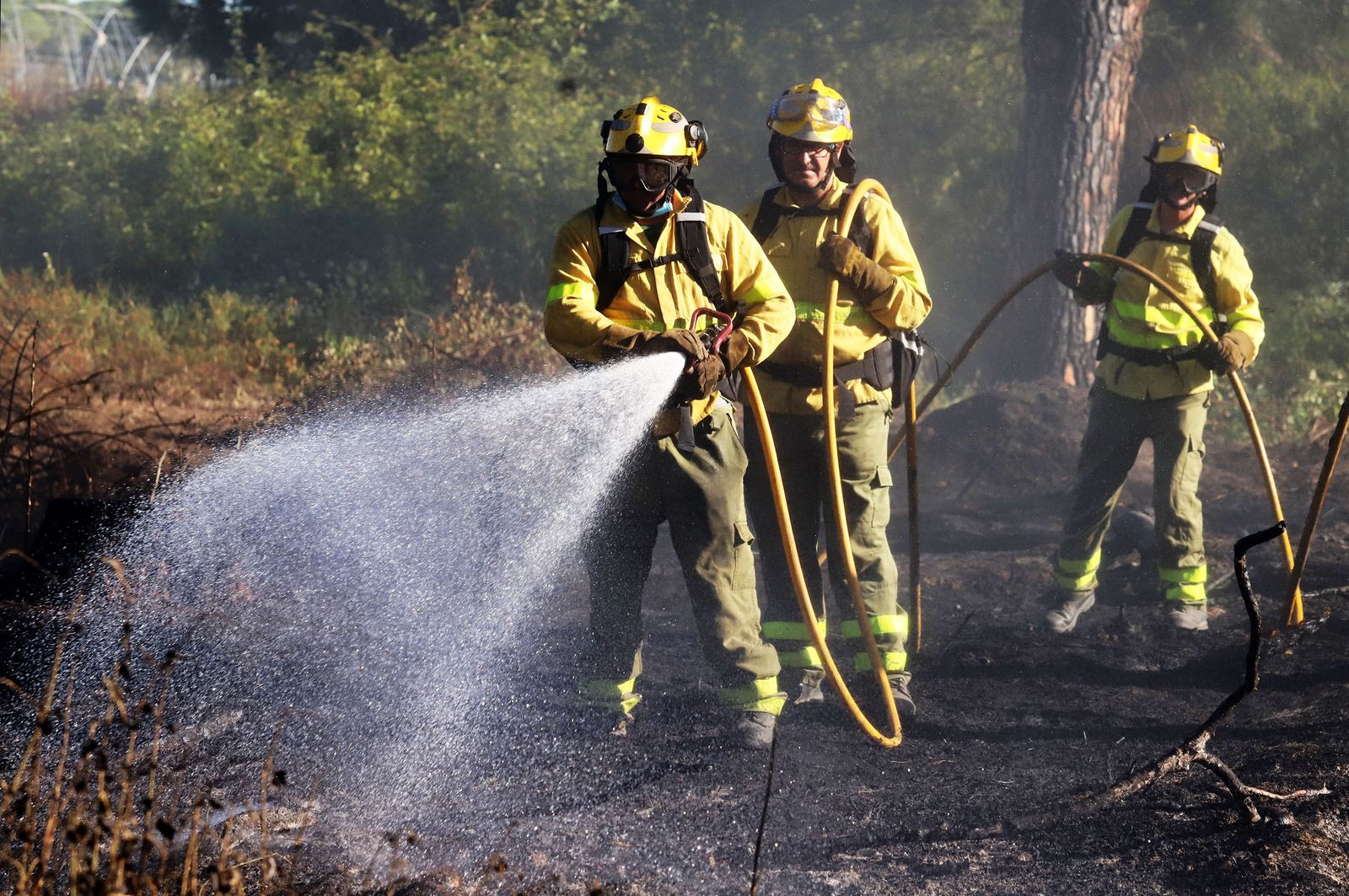 Bomberos trabajan en la extinción de un incendio en la provincia de Huelva.
