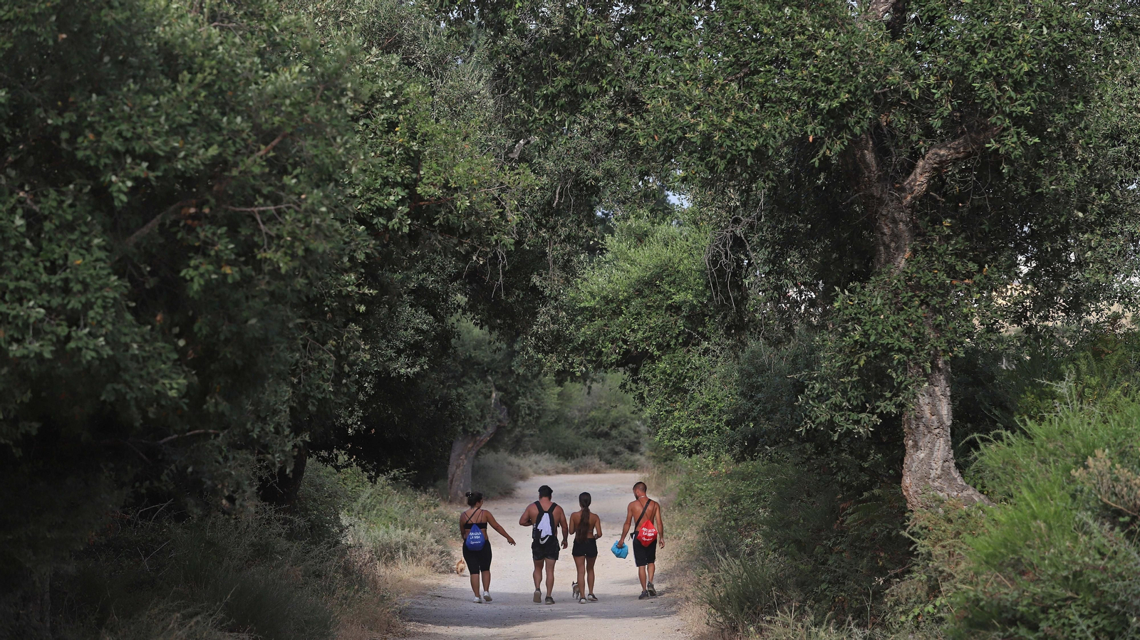 Basura en el sendero del Río de la Miel