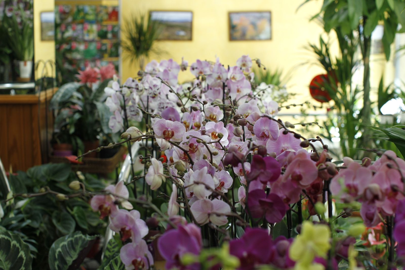 El campo, un valor sano y sostenible