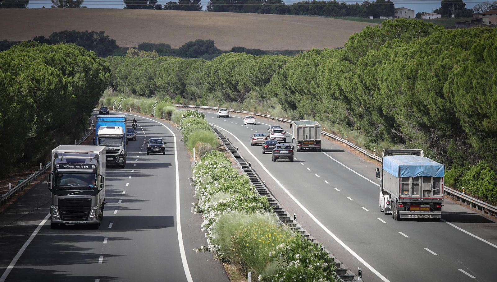 Coronavirus, imágenes del lunes 8 de junio en Jerez