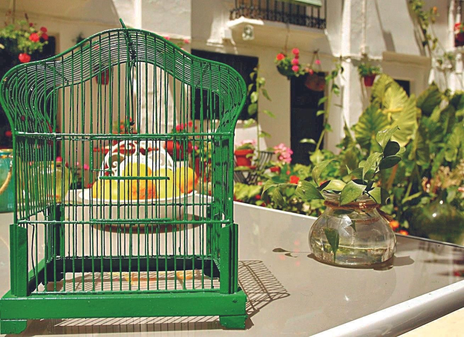 Patio de Martín Belda, 55, reconocido en 2019 con el 4º premio