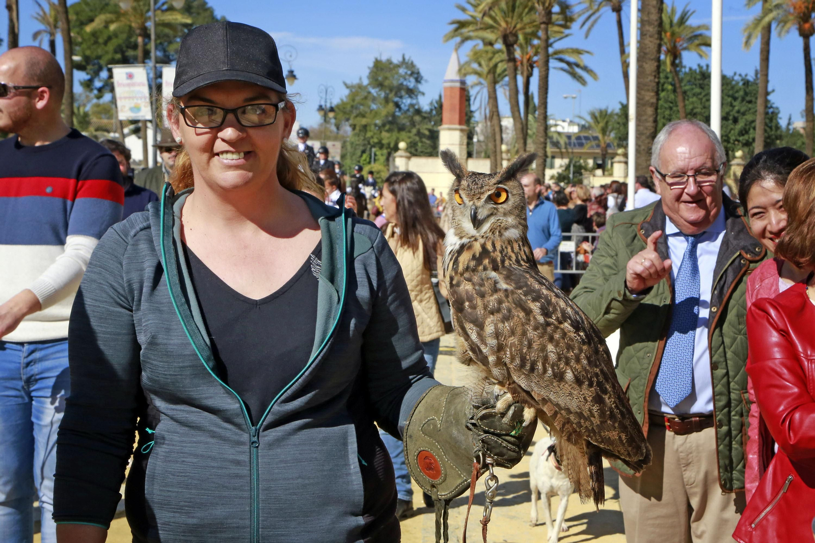 Imágenes de San Antón 2020 en Jerez