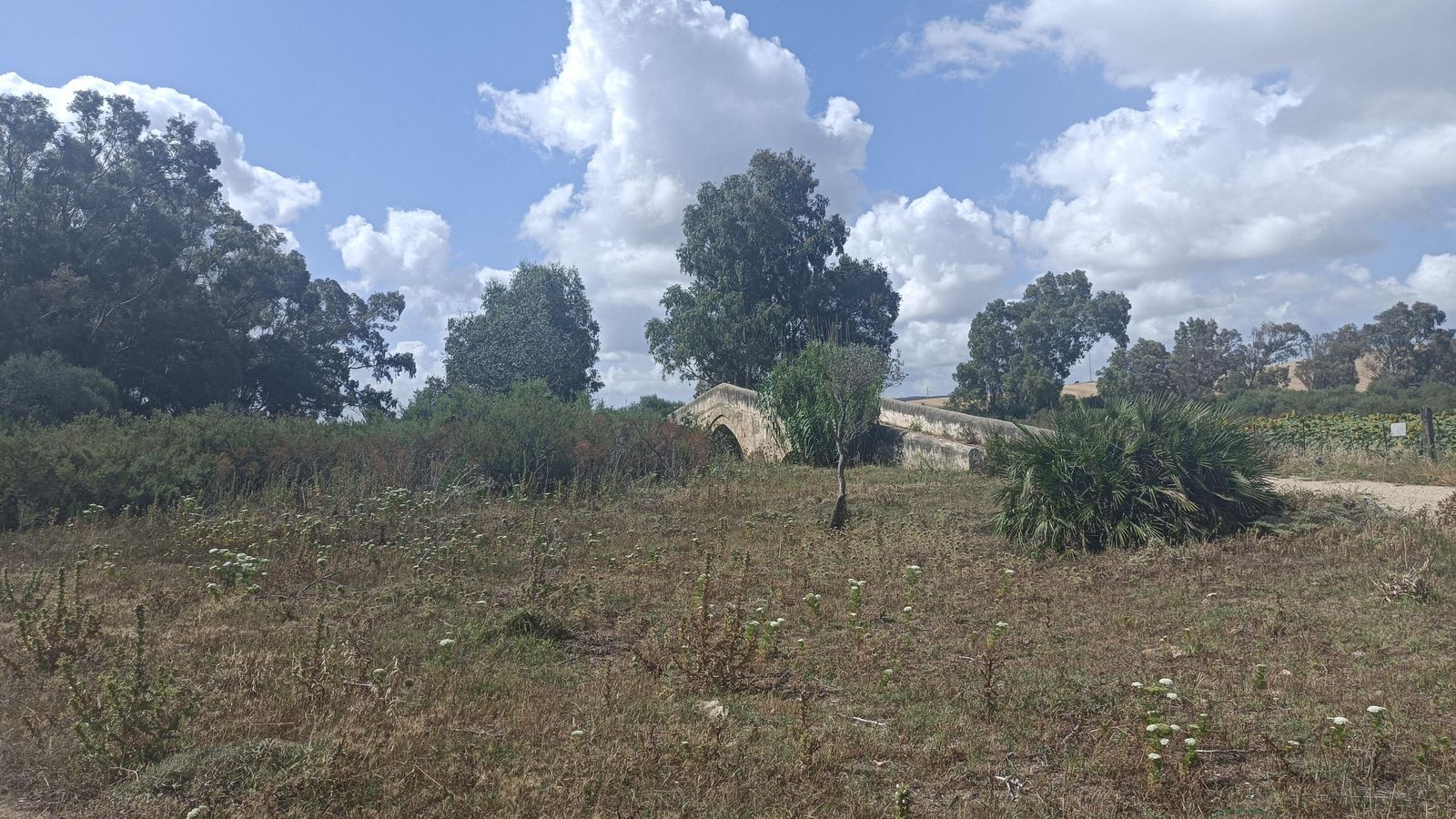 Primero de los puentes romanos que veremos en esta jornada.