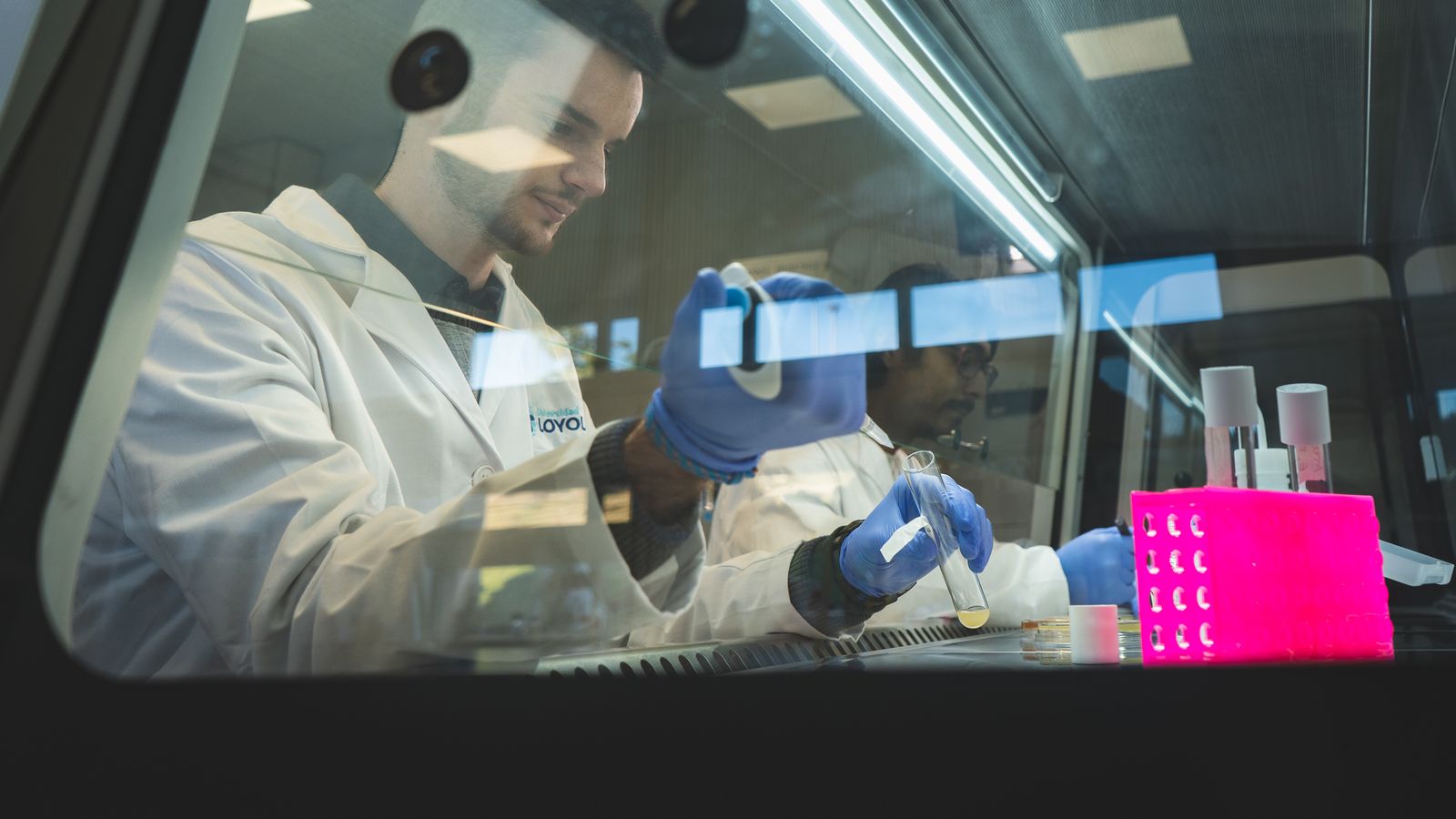 Universidad de Loyola