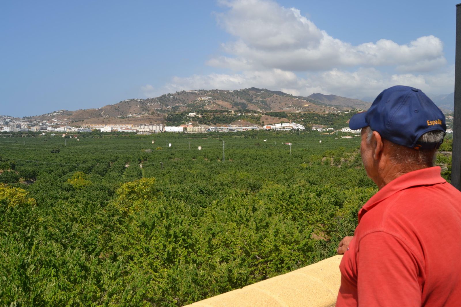 La Junta abona más de 324.000 euros en subvenciones para la contratación de seguros agrarios
