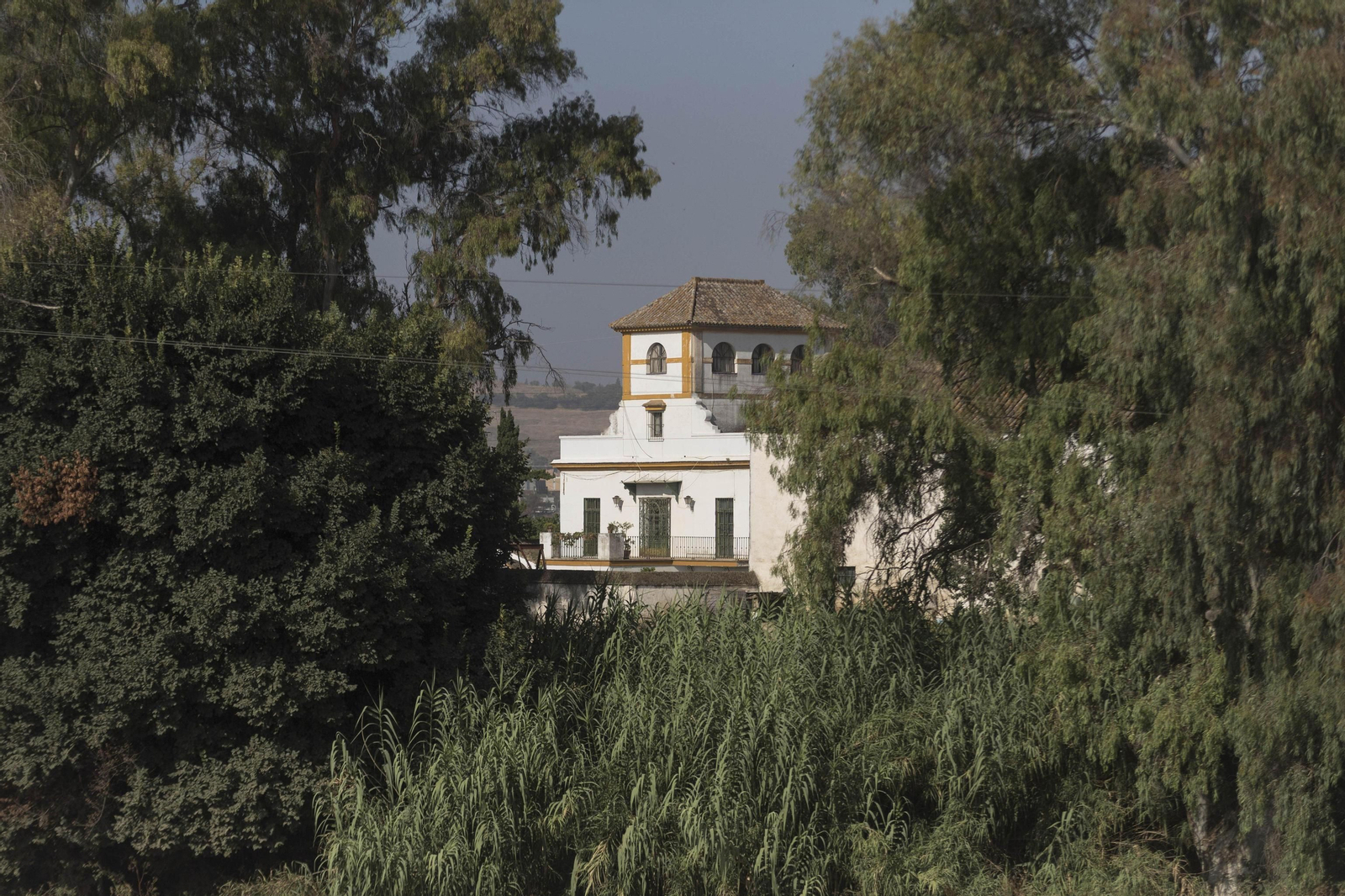 El cortijo de Gambogaz, en imágenes