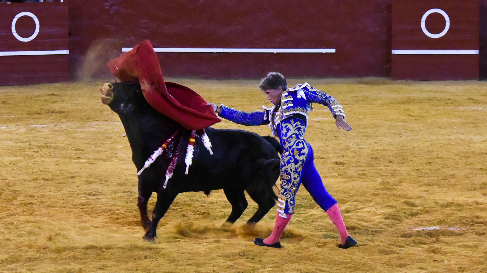 El festejo mixto de la Feria Real de San Roque, en imágenes