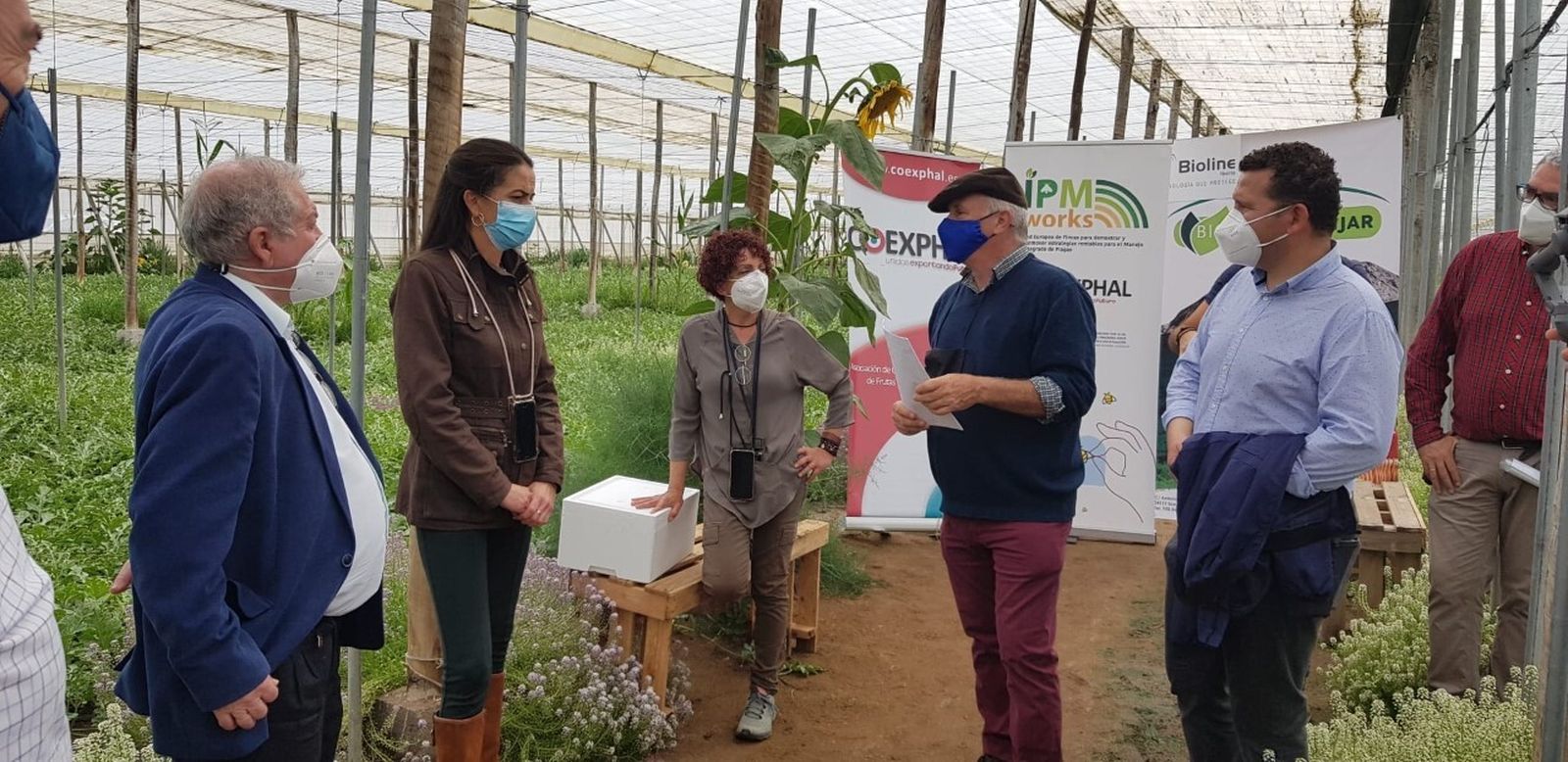 Aránzazu Martín visita el proyecto de gestión integrada de plagas en fincas demostrativas en Níjar