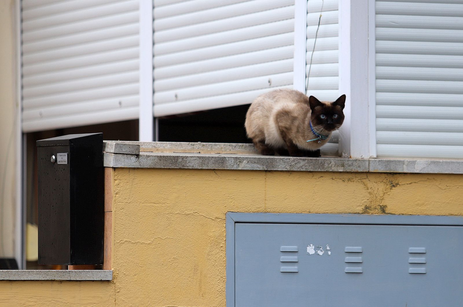 Barrio a Barrio: Barriada de Cardeñas en imágenes