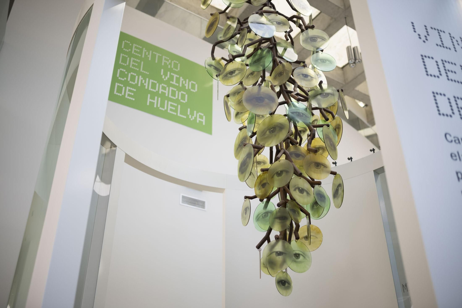 Imágenes de la vendimia en el Condado de Huelva